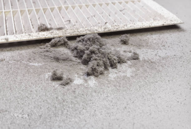 Best Residential Air Duct Cleaning  in Roseville, MI