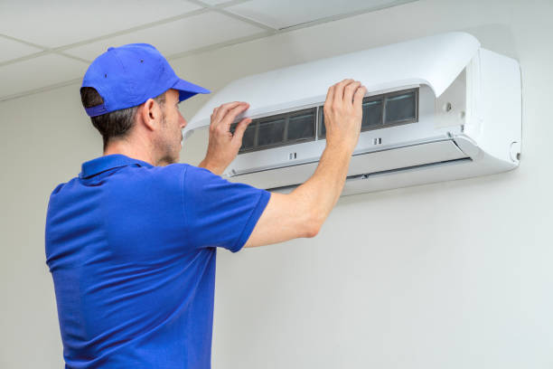 Air Duct Mold Removal in Roseville, MI