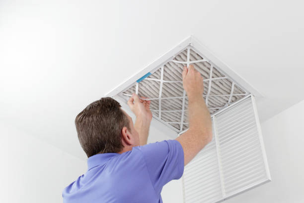 Best Air Duct Cleaning Near Me  in Roseville, MI